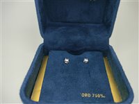 Orecchini Ambrosia Donna DEA DI LUCE in Oro bianco Zircone AOZ525 - AOZ525